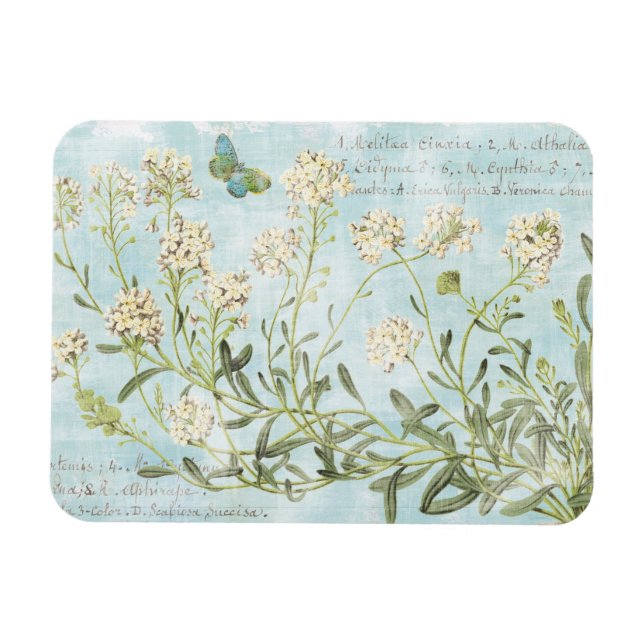 Blått botaniskt magnet (Horisontell)