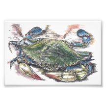 Blått Crab Art-fotoutskrift