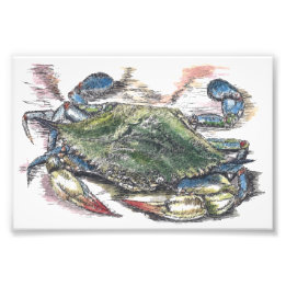 Blått Crab Art-fotoutskrift Fototryck