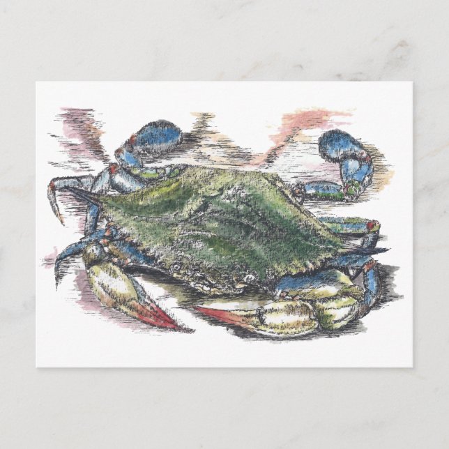 Blått Crab-vykort Vykort (Framsida)