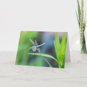 Blått Dragonfly Blankt gratulationskort Kort