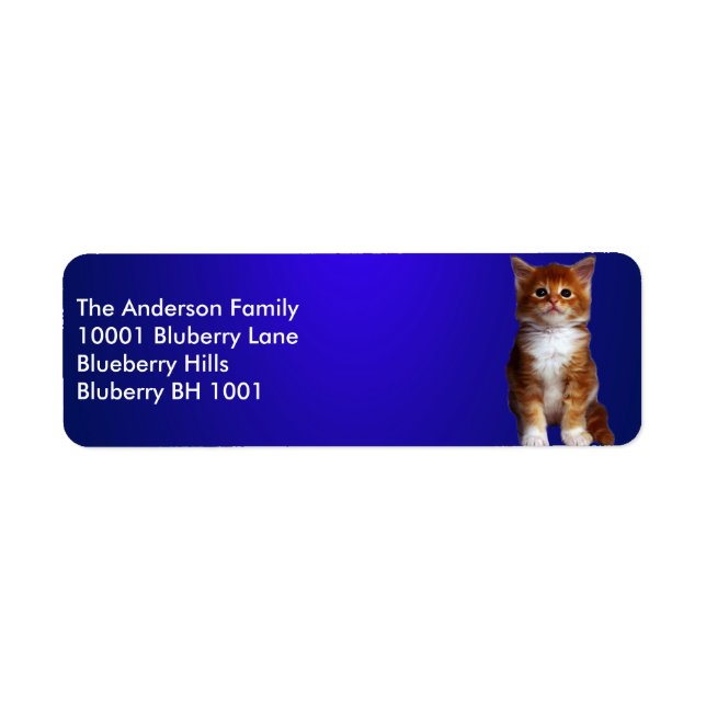 Blått etikett returadress Ginger Cat (Framsidan)