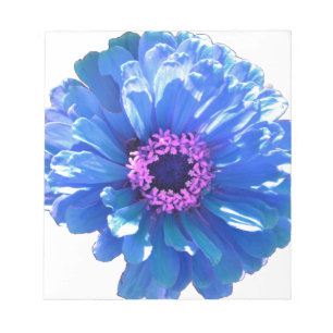 Blått foto för blått daisy i blommigten anteckningsblock