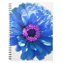 Blått foto för blått daisy i blommigten anteckningsbok med spiral