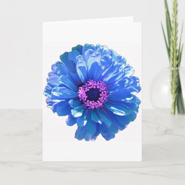 Blått foto för blått daisy i blommigten kort (Framsida)