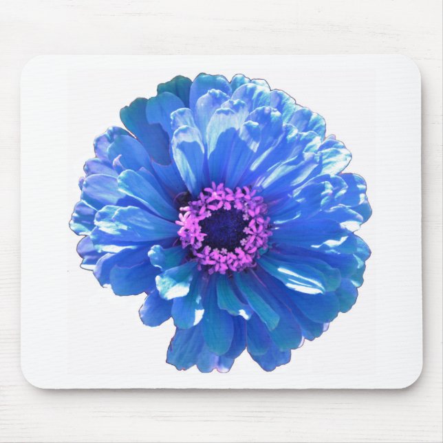 Blått foto för blått daisy i blommigten musmatta (Framsidan)