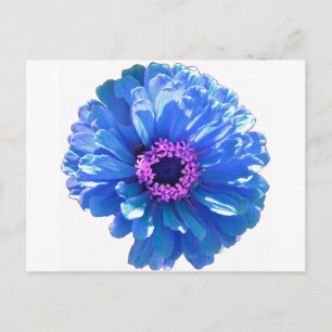 Blått foto för blått daisy i blommigten vykort