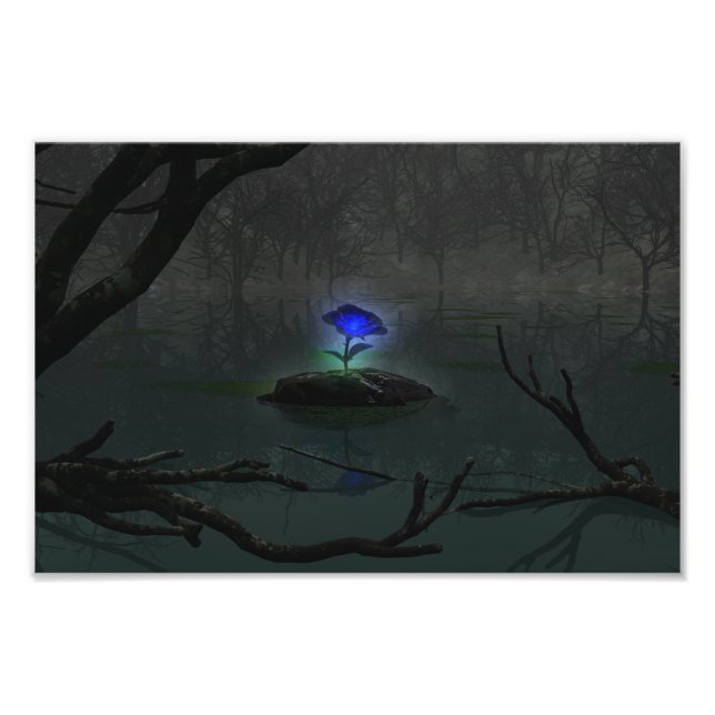 Blått fotoutskrift i Ro Fototryck (Framsidan)