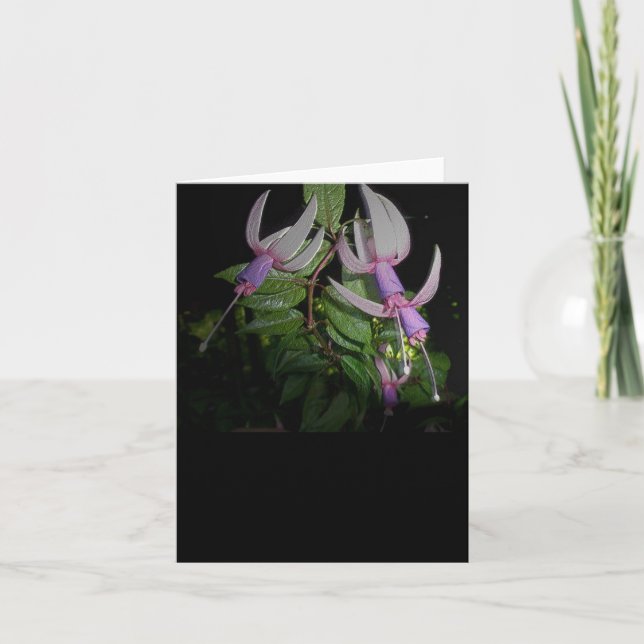 Blått Fushia Note-kort Helgkort (Framsida)