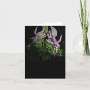 Blått Fushia Note-kort Helgkort