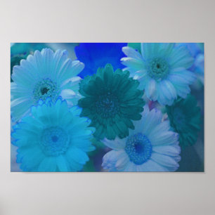 Blått Gerbera Daisy Flowers Wall Art Print Poster
