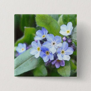 Blått glömmer mig inte blommor knapp