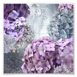 Blått Grått Vintage blommigt Hydrangea Flower möns Fototryck
