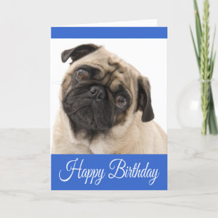 Blått gratulationskort för Puppy Hund i grattis på Kort