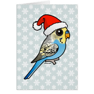Blått & gula Santa Budgie OBS Kort
