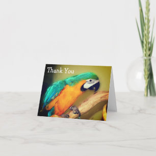 Blått Guld Macaw Parrot Parot - tackkort