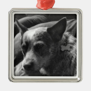 Blått Heeler Julgransprydnad Metall