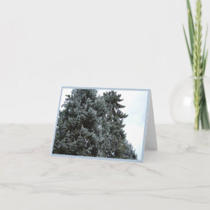 Blått Helgdag-kort för Spruce Träd Kort