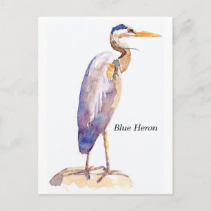 Blått Heron-vykort Vykort
