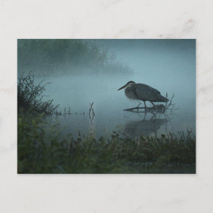 Blått Heron-vykort Vykort
