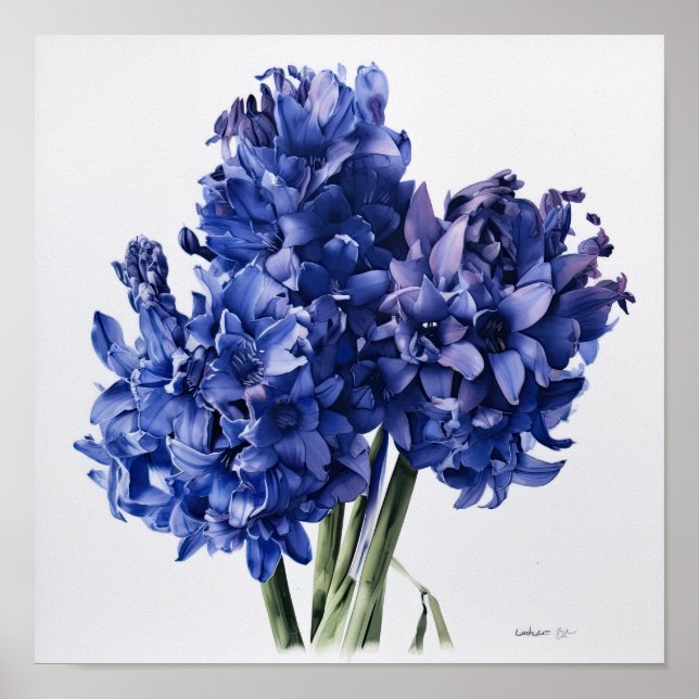Blått hyacint Flower Art Print Poster (Framsidan)