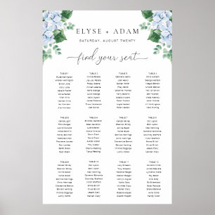 Blått Hydrangea 12 Bord-sätesdiagram Poster