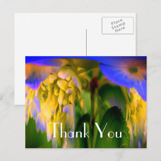 Blått Hydrangea Abstrakt Blommigt Tack vykort (Fram/baksida)