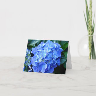 Blått Hydrangea-anteckningskort Kort