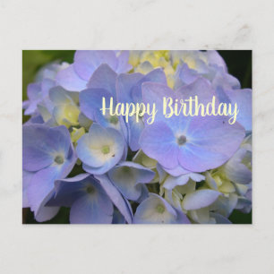 Blått Hydrangea Birthday Scripting Blank Postcard Vykort