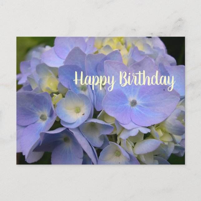 Blått Hydrangea Birthday Scripting Blank Postcard Vykort (Framsida)