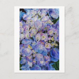 Blått Hydrangea Botaniskt vykort