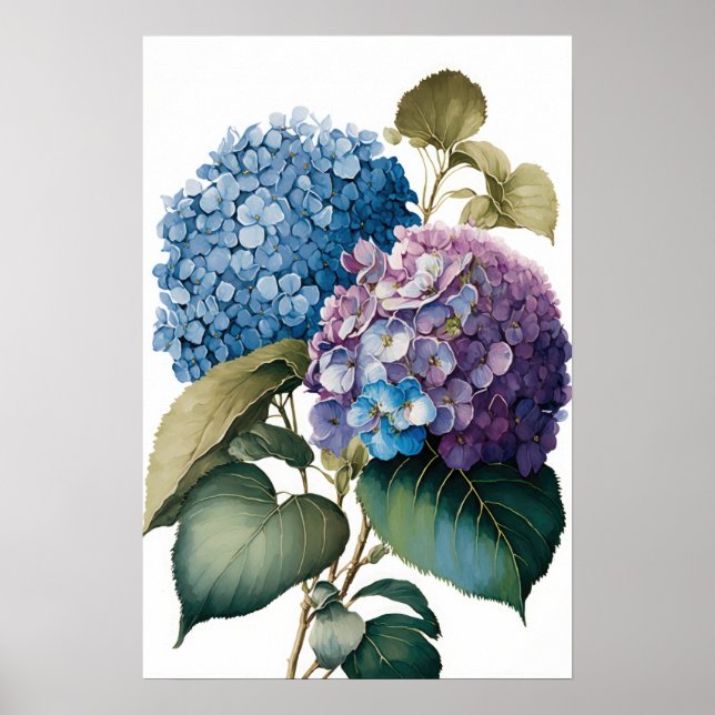 Blått Hydrangea Flowers Art Skriv ut Poster (Framsidan)