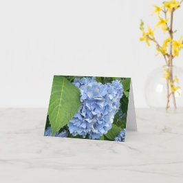 Blått Hydrangea-kort (Hydrangea macrophylla) Kort