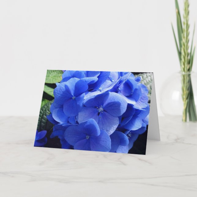 Blått Hydrangea-kort Kort (Framsida)
