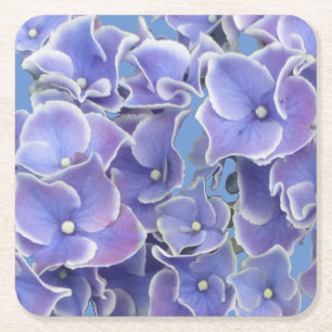 Blått Hydrangea med vit Gräns Papper Underlägg Kvadrat