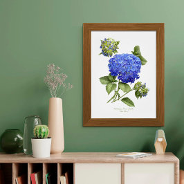 Blått Hydrangea Original Art Print Poster