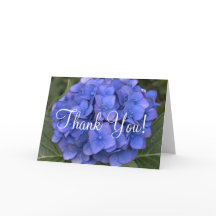 Blått Hydrangea Tack Blanka kort