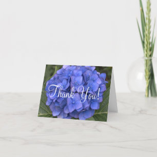 Blått Hydrangea Tack Blanka kort