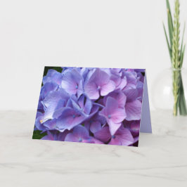 Blått Hydrangekort Kort