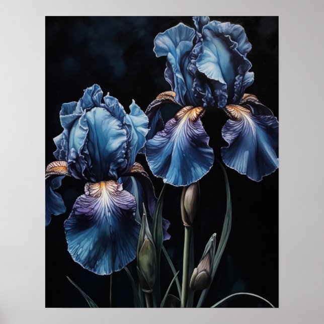 Blått Iris Flowers Art Skriv ut Poster (Framsidan)