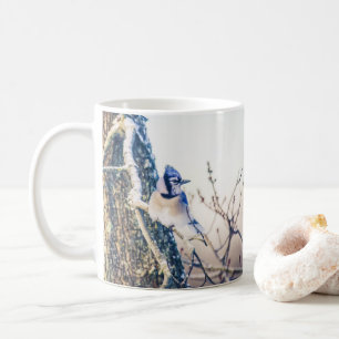 Blått Jay Bird Nature Coffee Mugg