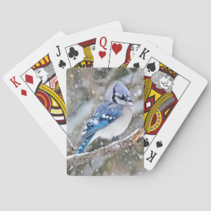 Blått Jay i en Snowstorm Kortlek