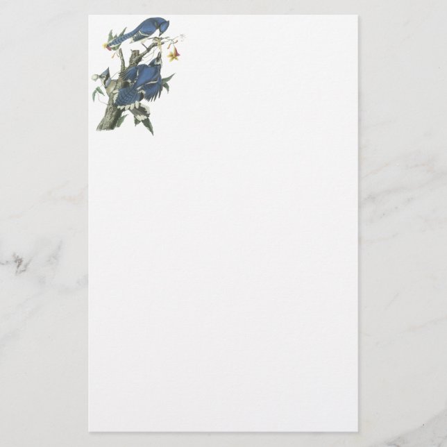 Blått Jay, John Audubon Brevpapper (Framsida)