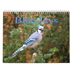 Blått Jay kalender för 12 månad