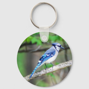 Blått Jay Keychain Nyckelring