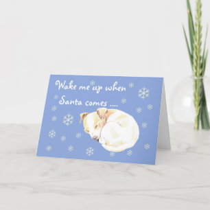Blått julkort för Cute Puppy Snöflingor Helgkort