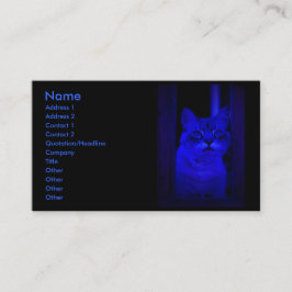 Blått katt visitkort