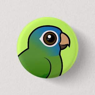 Blått-krönade Conure Knapp