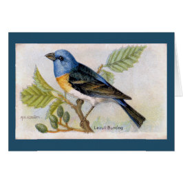 Blått Lazuli Bunting Bird - tackkort Hälsningskort