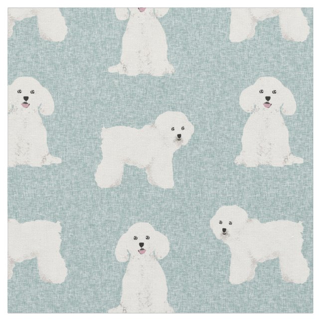 Blått ljus från Bichon Frys Tyg (Närbild)